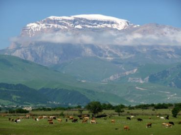 Picture for category QUSAR